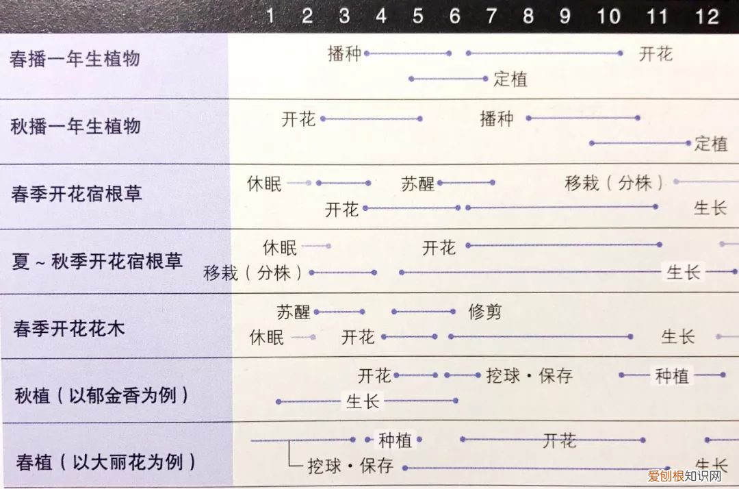 适合阳台上养的花期最长的花有哪些，家有阳台花园，必须熟记这张植物的生长周期表！