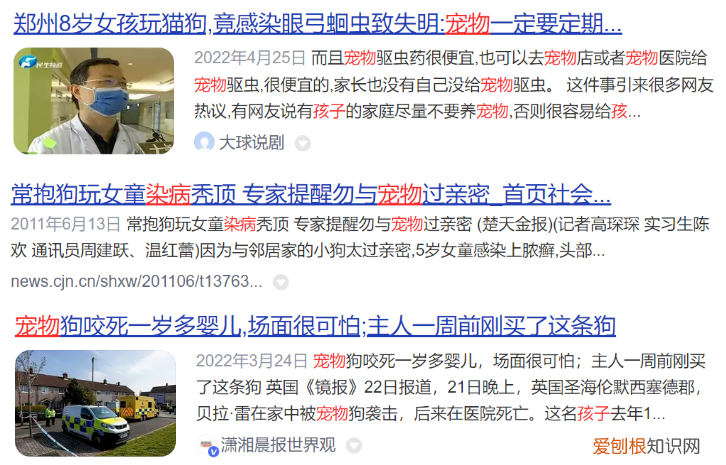 铲屎官小年年，小小“铲屎官”越来越多，儿童该如何与宠物安全相处？