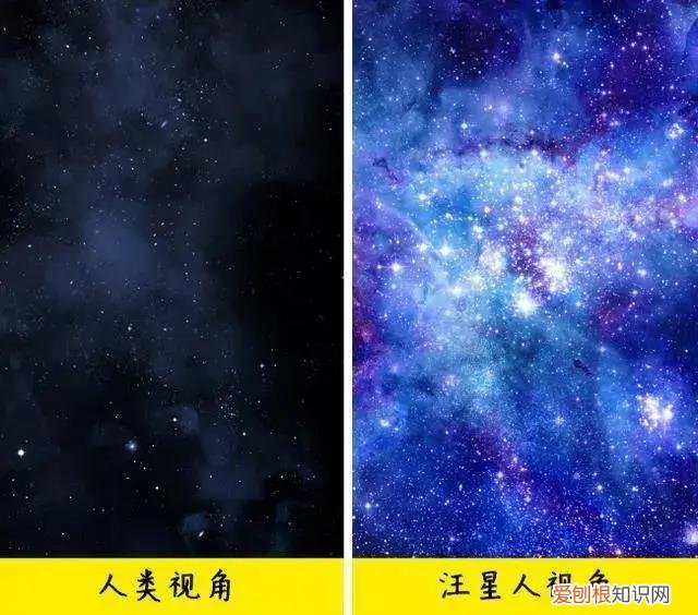 狗在夜里一直狂吠 狗子半夜对着空气吠叫难道是因为