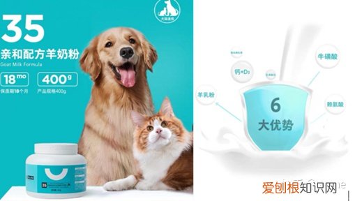 狗可以喝猫咪羊奶粉吗，狗羊奶粉知识小课堂