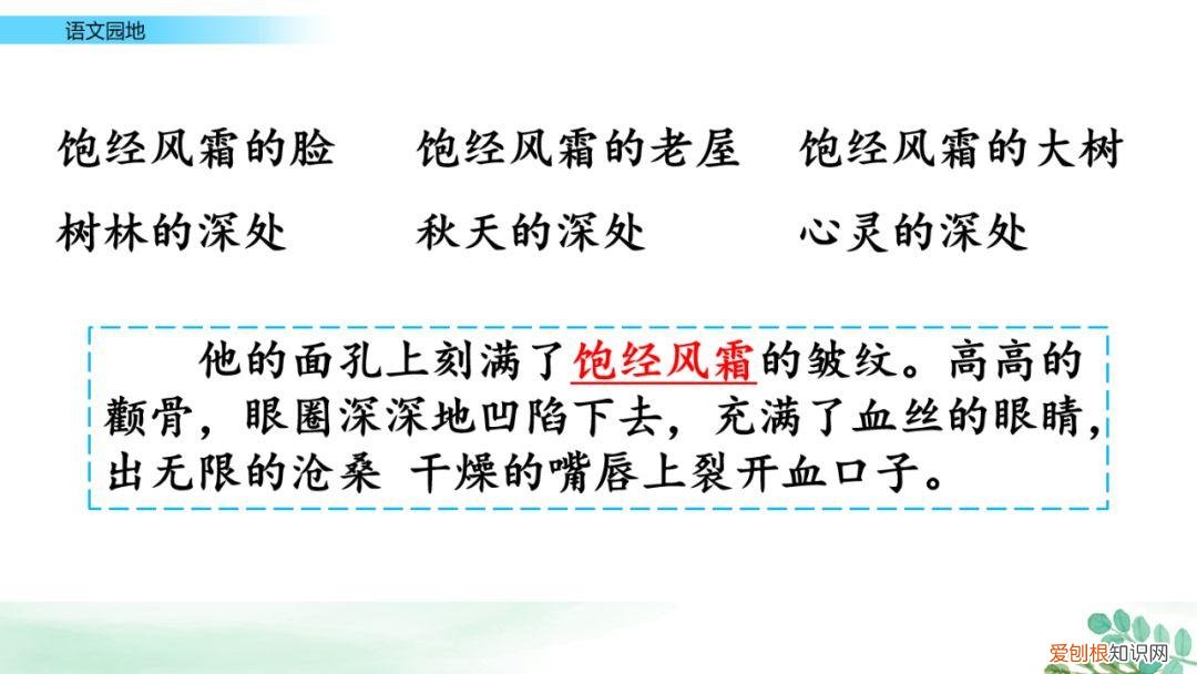 部编版六年级上册语文园地七课件,部编版六年级上册《语文园地八》图文讲解