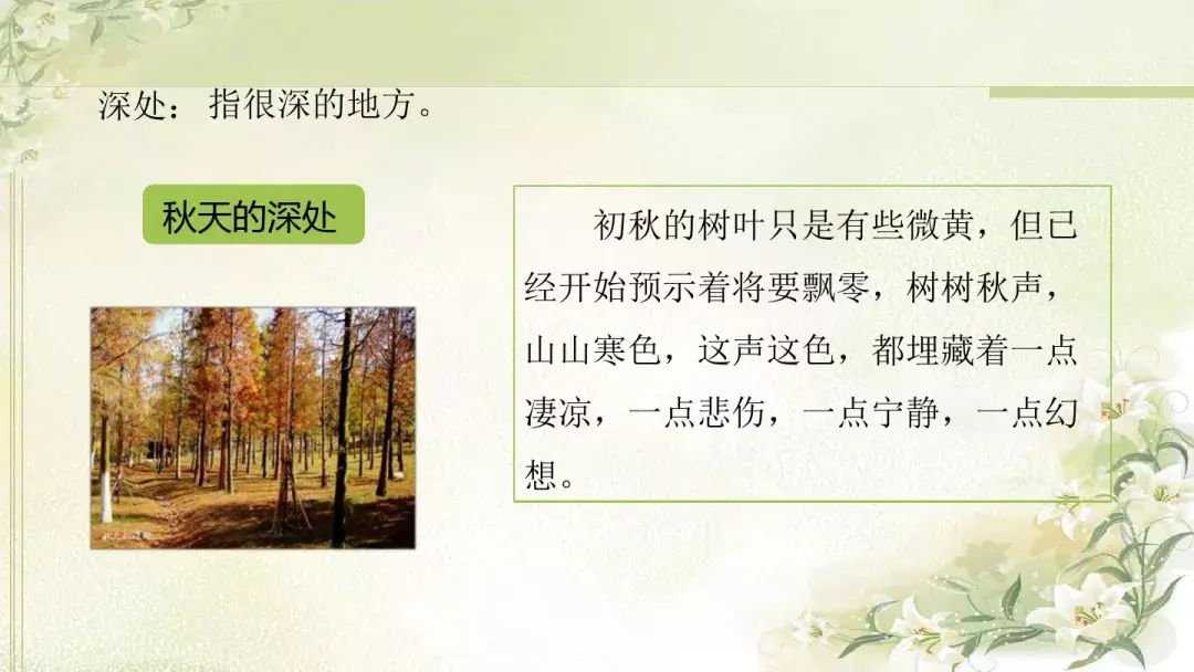部编版六年级上册语文园地七课件,部编版六年级上册《语文园地八》图文讲解
