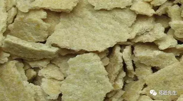 常见花卉的浇水方法有，家庭养花全套技术，手把手教你“浇水、施肥、病虫害防治”