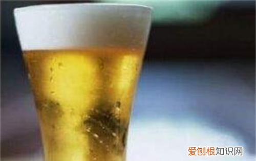 白啤,黄啤,干啤,纯生,熟啤,生啤这些你能分清楚吗