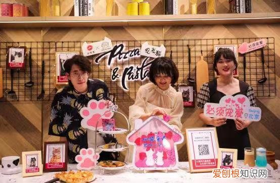 北京观复博物馆电话号码，北京必胜客联合观复博物馆发起“宠物友好”主题活动