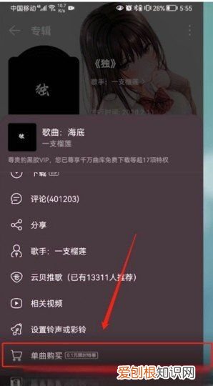 网易云应该怎么购买单曲，《网易云音乐》专辑单曲购买方法是什么