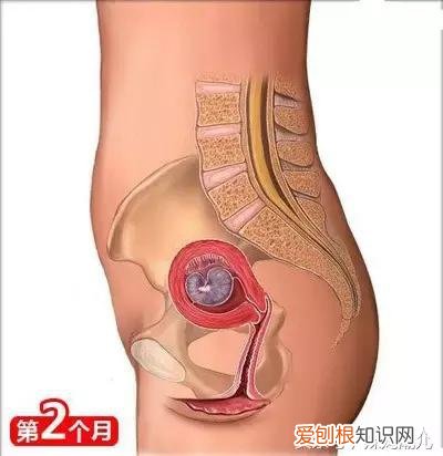 干货太多，实用收藏 母婴育儿知识社区，二十六个母婴常识！