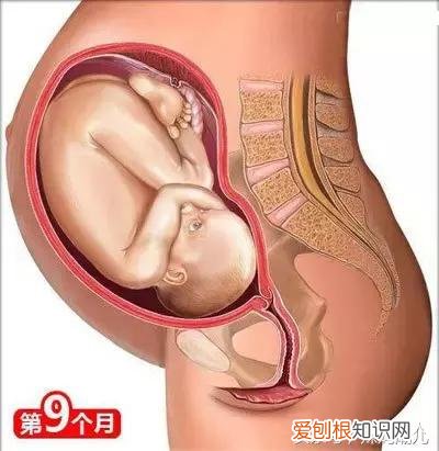 干货太多，实用收藏 母婴育儿知识社区，二十六个母婴常识！