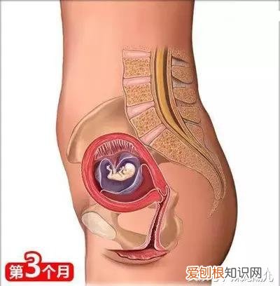 干货太多，实用收藏 母婴育儿知识社区，二十六个母婴常识！
