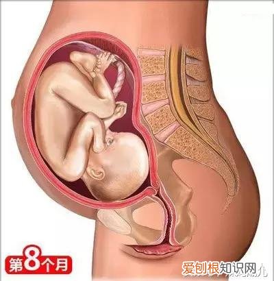 干货太多，实用收藏 母婴育儿知识社区，二十六个母婴常识！