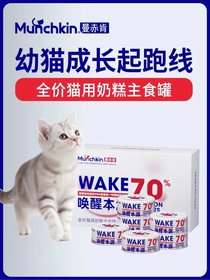 宠物猫需要补钙吗，宠物小知识——犬猫容易缺钙吗？