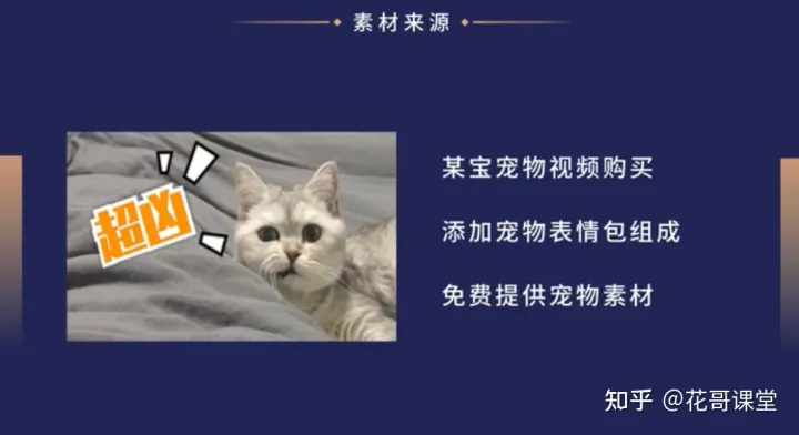 播放花哥简介，花哥课堂：宠物冷知识，在抖音冷门但是流量巨大的细分领域