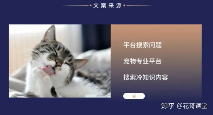 播放花哥简介，花哥课堂：宠物冷知识，在抖音冷门但是流量巨大的细分领域