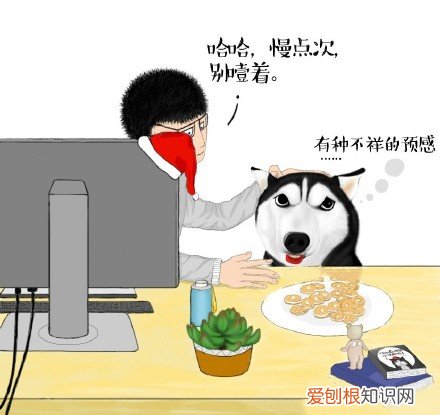 铲屎官是几品 铲屎官的五个等级！你在哪一级？