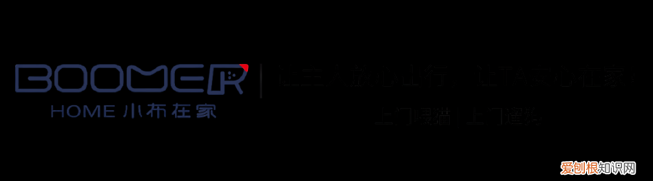 性格温顺的宠物狗,【宠物知识科普篇】其实狗狗非常依赖人,单纯可爱的狗子,只要你在TA就开心~