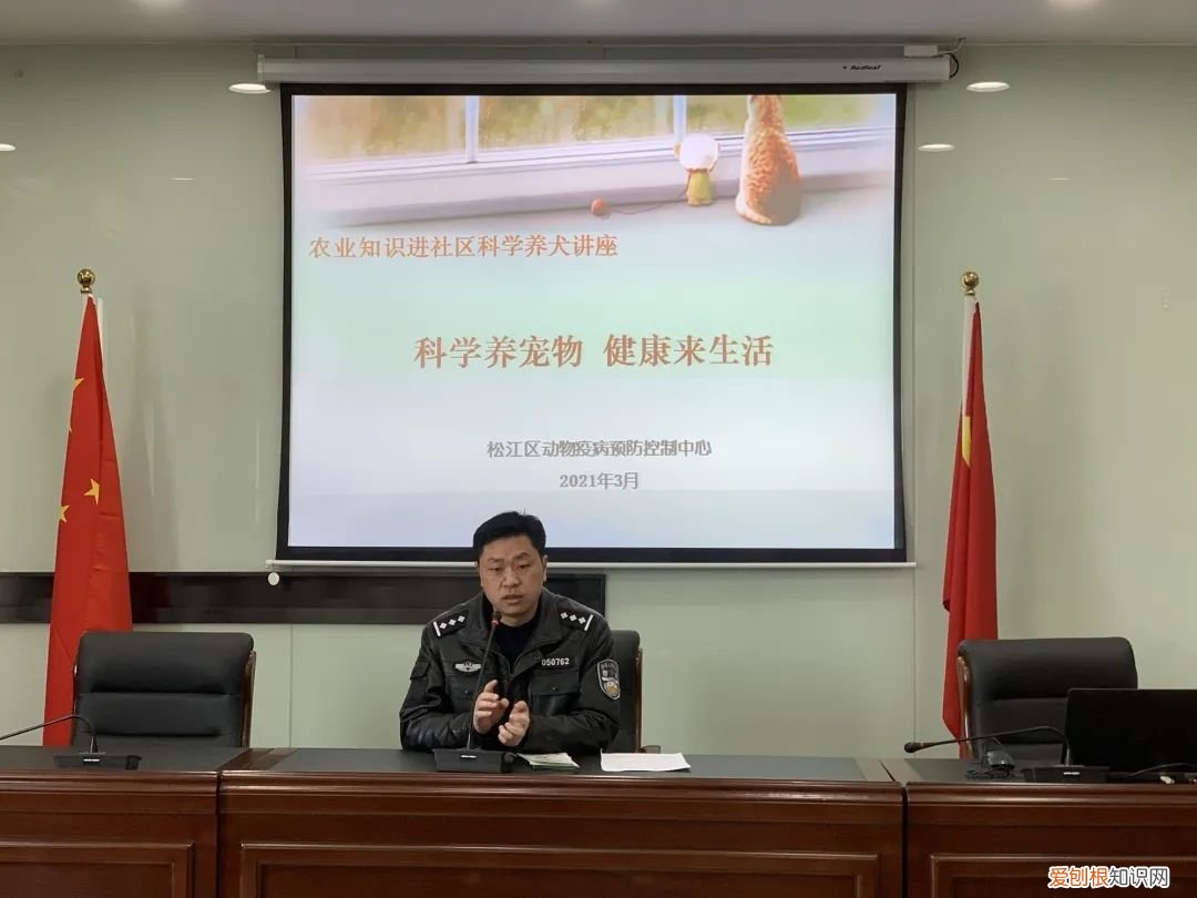 养宠讲文明，【文明养宠】小宠物大不同—平复苑开展文明养宠科普知识讲座