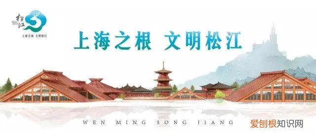 养宠讲文明，【文明养宠】小宠物大不同—平复苑开展文明养宠科普知识讲座