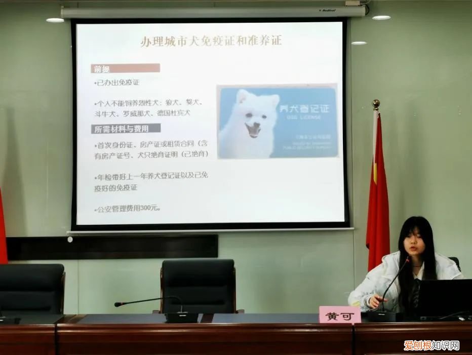 养宠讲文明，【文明养宠】小宠物大不同—平复苑开展文明养宠科普知识讲座