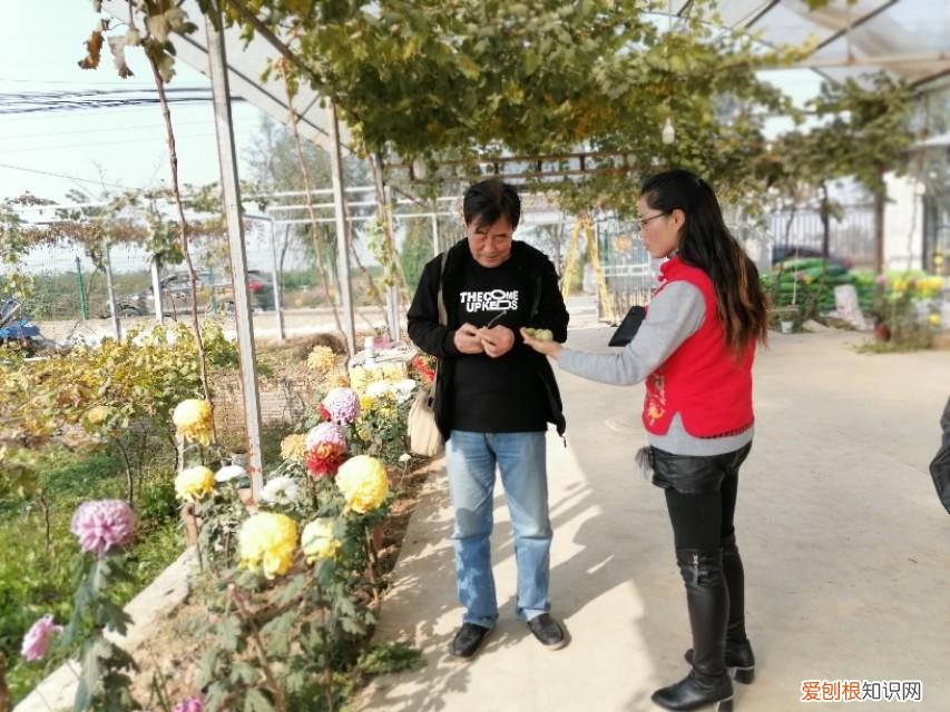 老舍写的《养花》，《养花》老舍原文