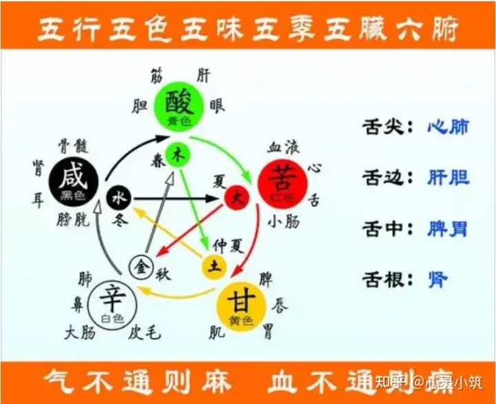 ann romney，小Ann系列：9月，夏去秋来，正确的育儿常识，不再为健康买单