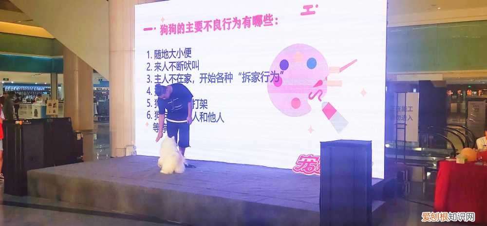 “宠爱有嘉”天津小动物保护协会专业知识讲座在嘉里汇广场举办