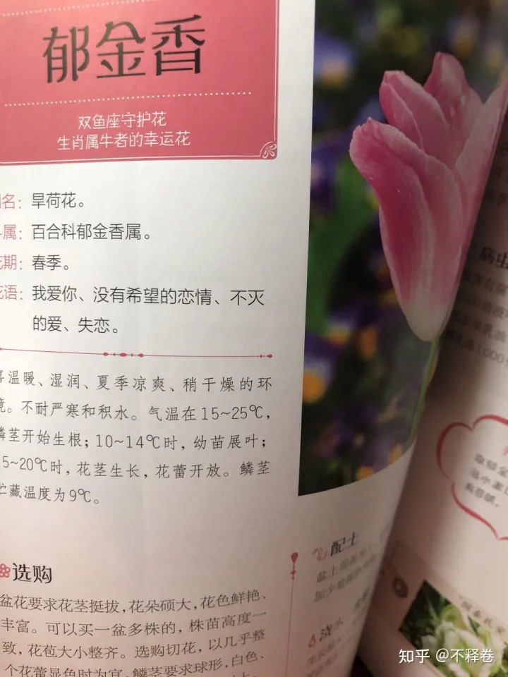 新手入门花，从新手到高手，养花一点通