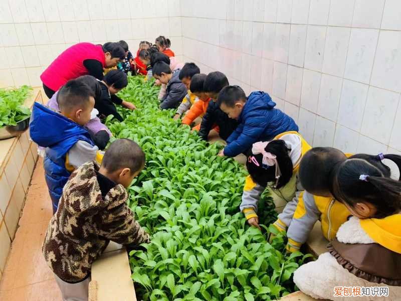 昆明市官渡区明华幼儿园，幼儿园小班的育儿知识 欢迎咨询昆明官渡区好的幼儿园睿思幼儿园