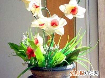 花怎么能养的时间长久，怎样养花?