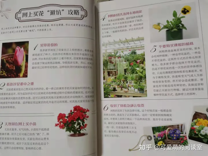 种植花卉书籍，推荐家庭园艺书《零基础学养花》养花技巧+品种图鉴，养花速成！
