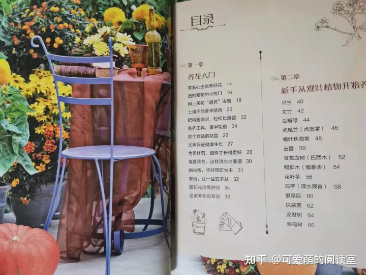 种植花卉书籍，推荐家庭园艺书《零基础学养花》养花技巧+品种图鉴，养花速成！