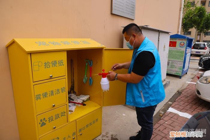 主人什么样宠物就什么样，如何做一名优秀的宠物主人？市东街道桃李幸福家园小区做了最佳引导