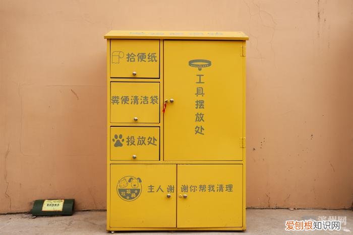 主人什么样宠物就什么样，如何做一名优秀的宠物主人？市东街道桃李幸福家园小区做了最佳引导