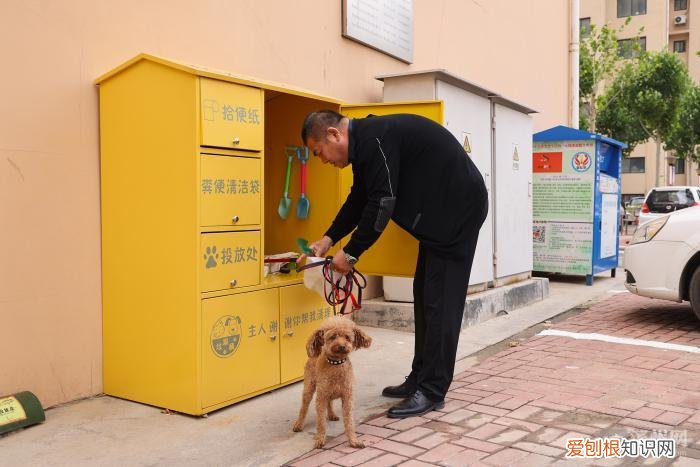 主人什么样宠物就什么样，如何做一名优秀的宠物主人？市东街道桃李幸福家园小区做了最佳引导