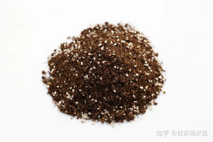2 泥炭土种什么花好，【养花必看】园艺小知识——泥炭