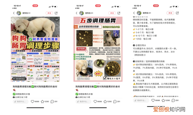 小红书宠物怎么火，5000字讲透，宠物商家如何在小红书成长？