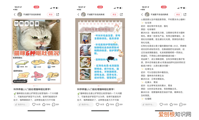小红书宠物怎么火，5000字讲透，宠物商家如何在小红书成长？