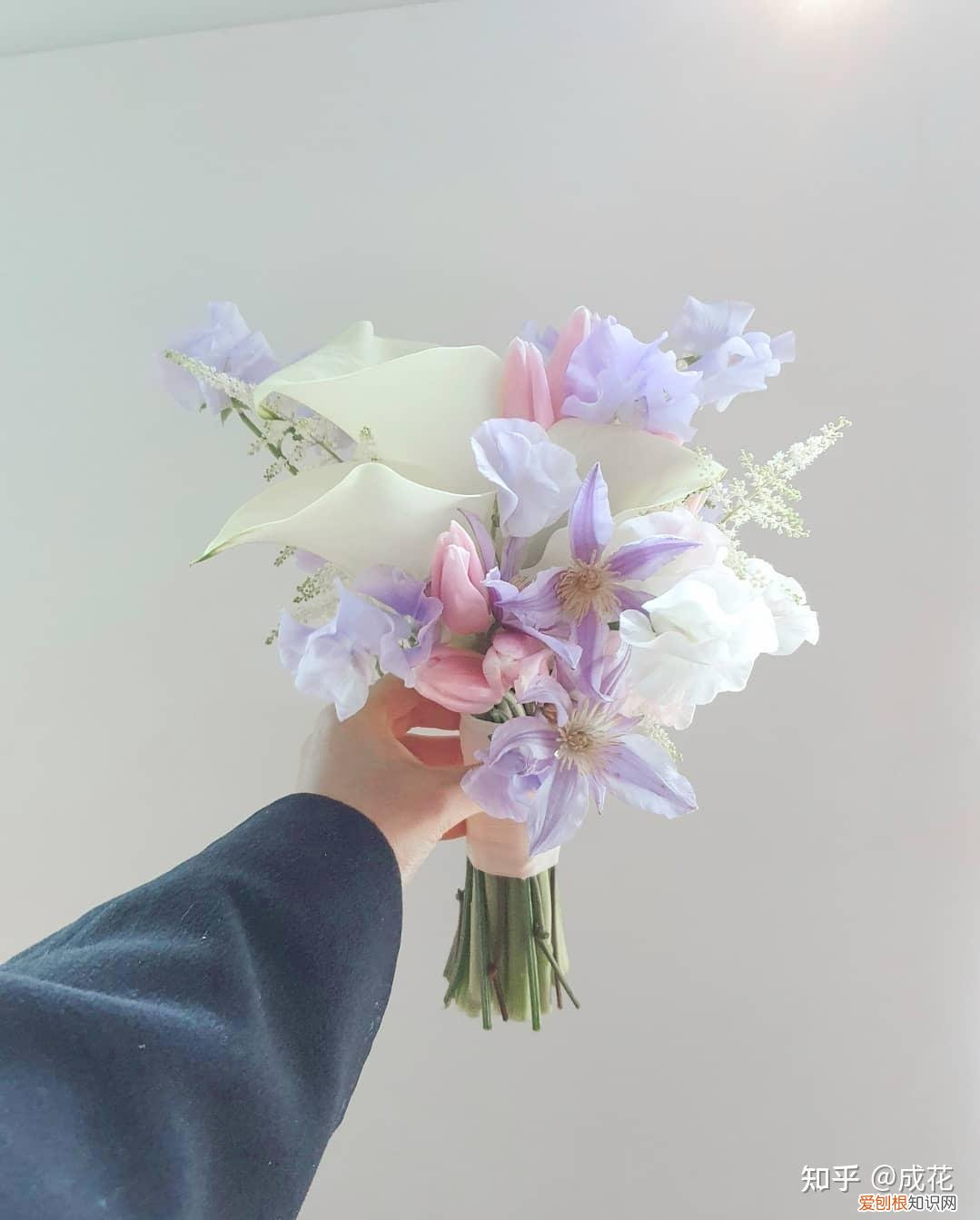 花卉养护管理方法有哪些，花艺师必学的花材养护篇！