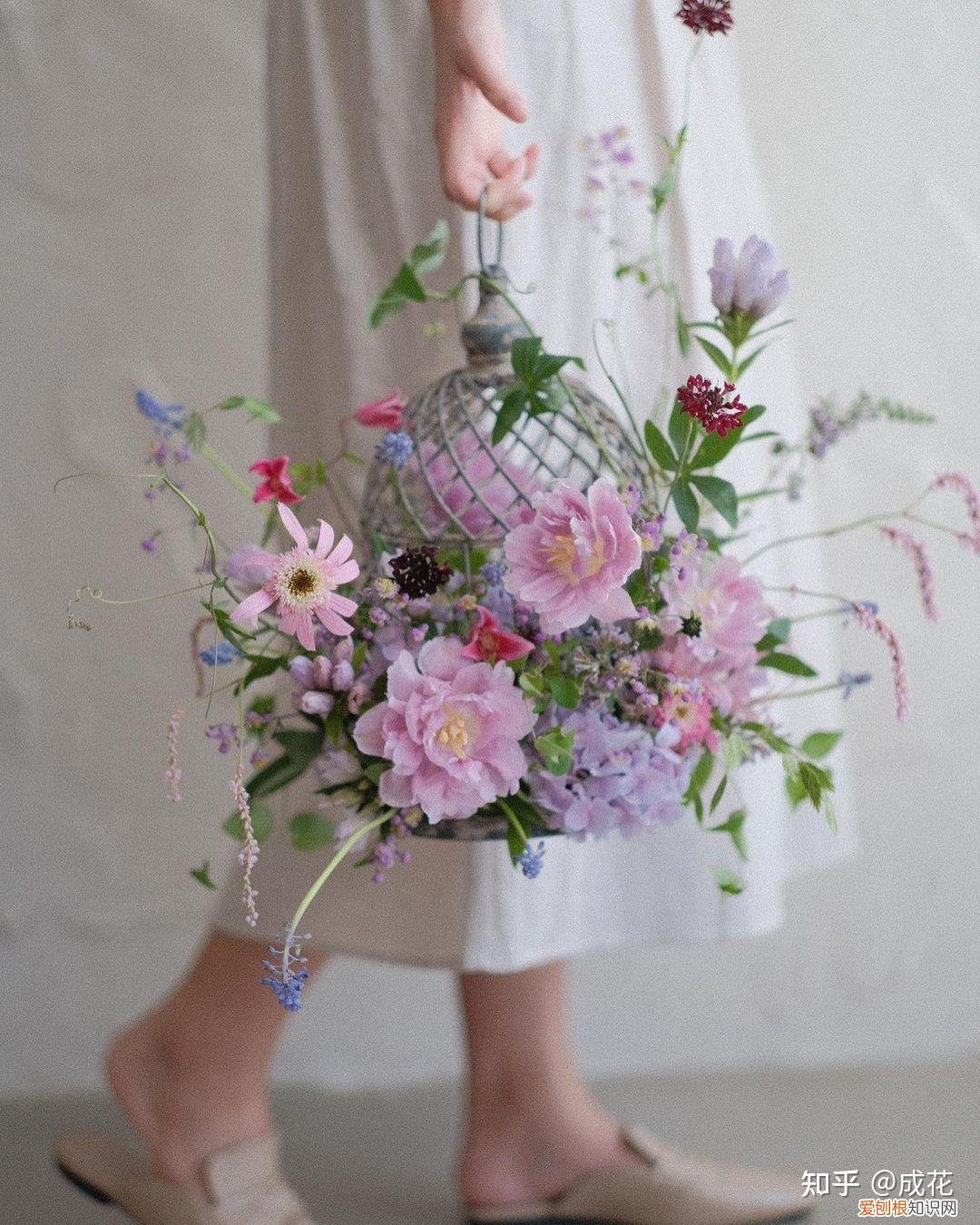 花卉养护管理方法有哪些，花艺师必学的花材养护篇！