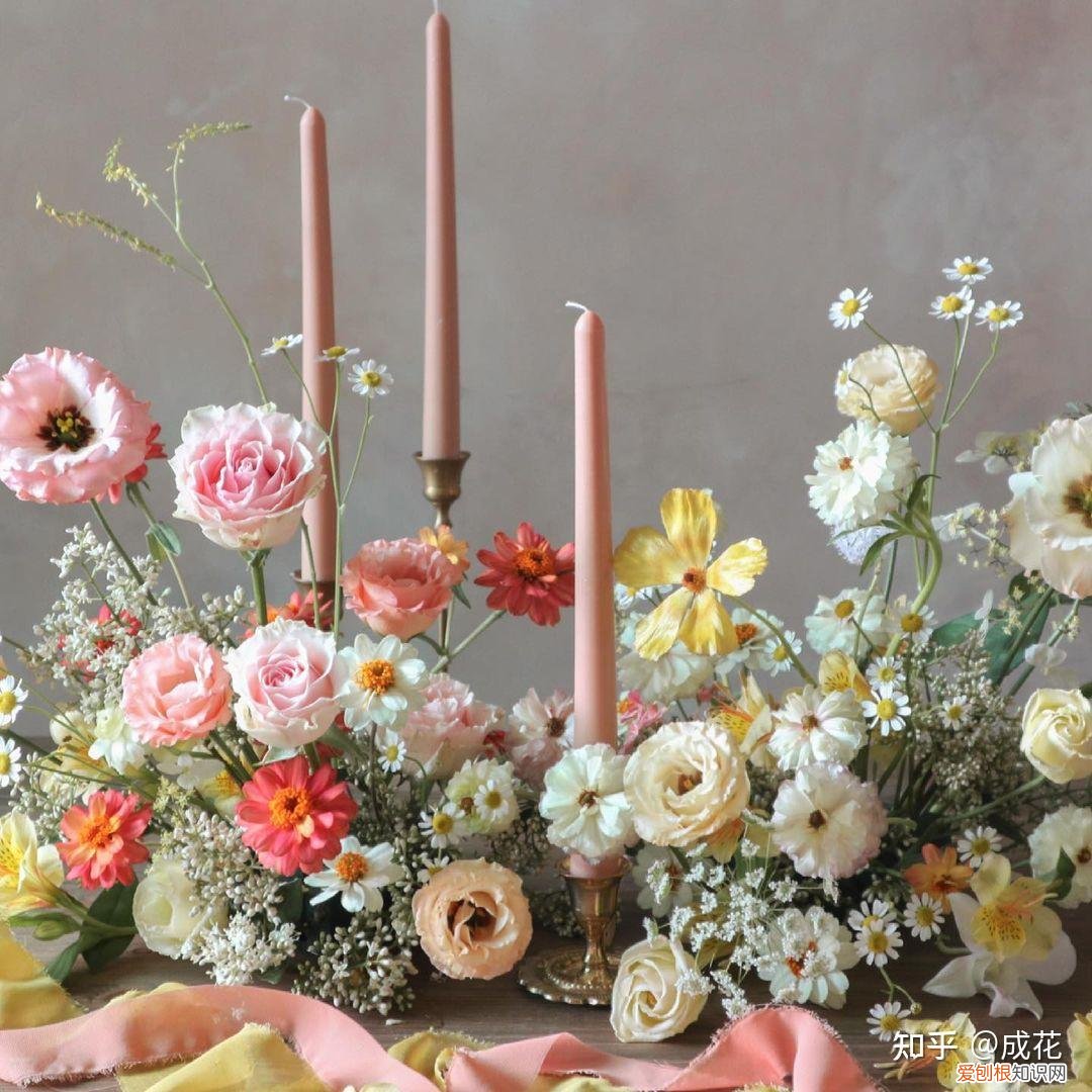 花卉养护管理方法有哪些，花艺师必学的花材养护篇！