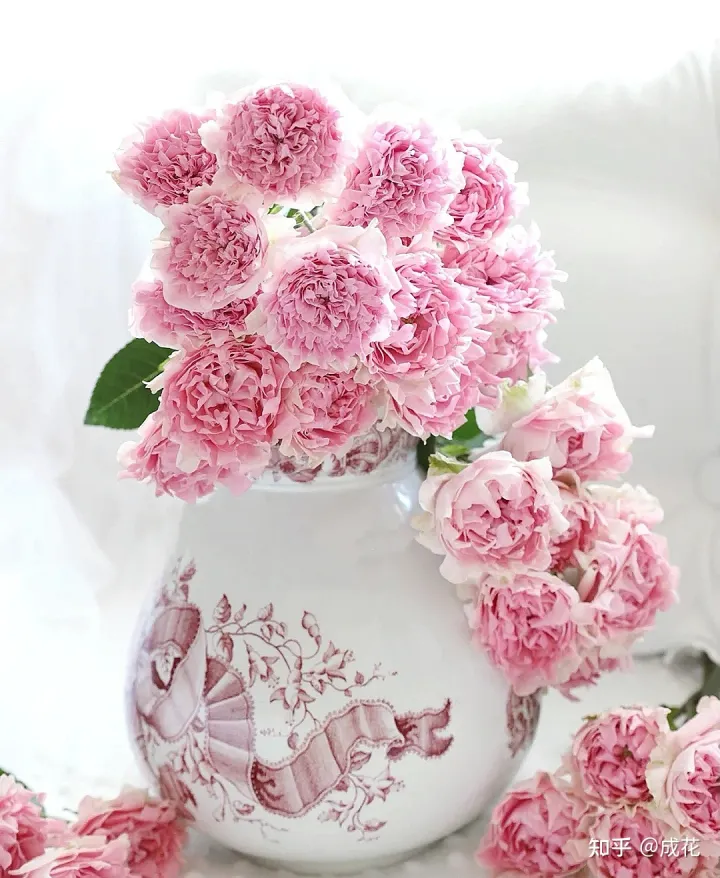 花卉养护管理方法有哪些，花艺师必学的花材养护篇！