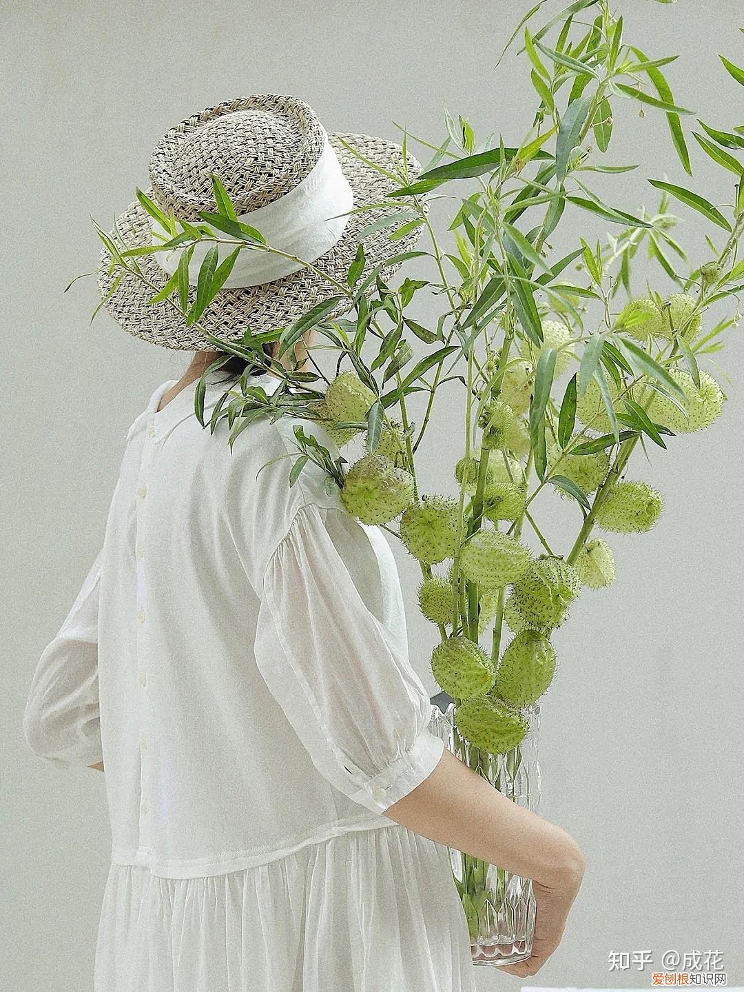 花卉养护管理方法有哪些，花艺师必学的花材养护篇！