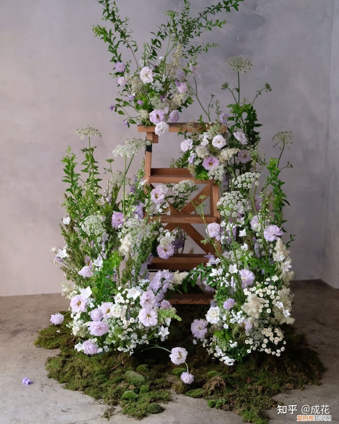 花卉养护管理方法有哪些，花艺师必学的花材养护篇！