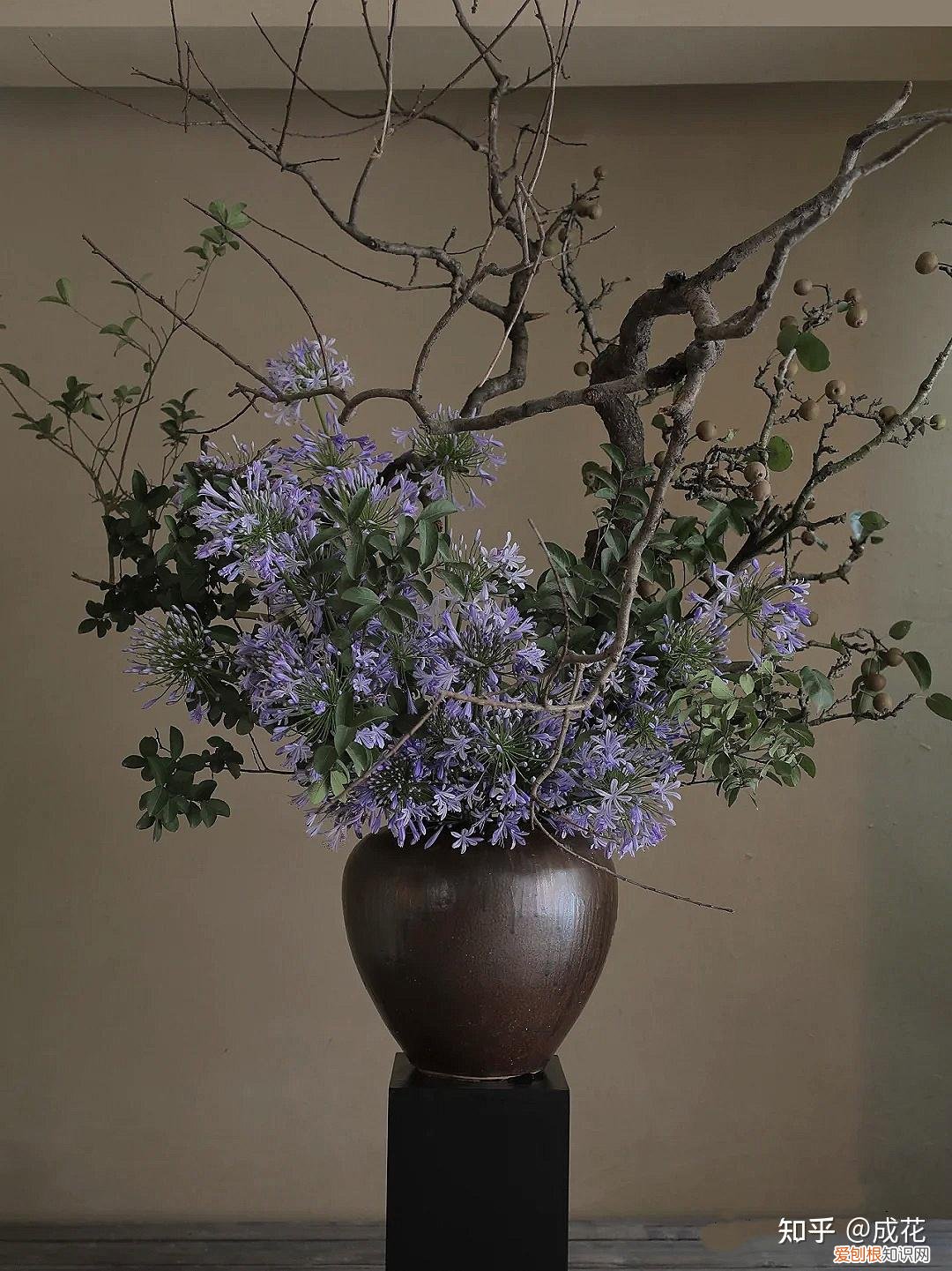 花卉养护管理方法有哪些，花艺师必学的花材养护篇！