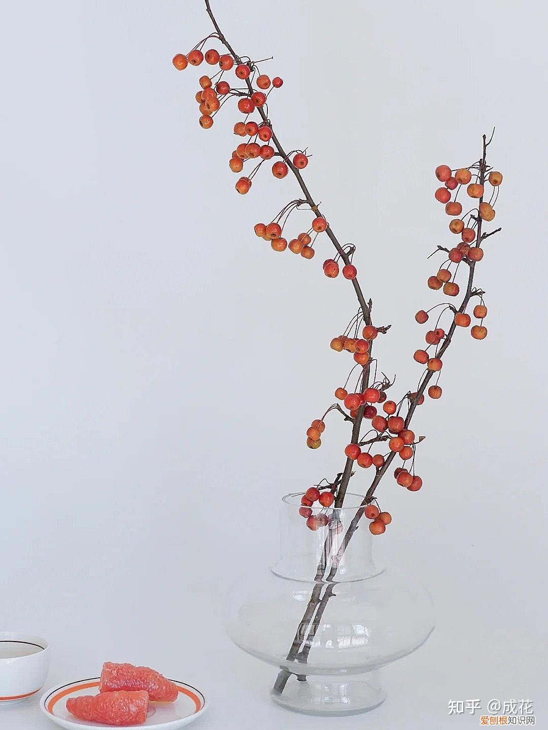 花卉养护管理方法有哪些，花艺师必学的花材养护篇！
