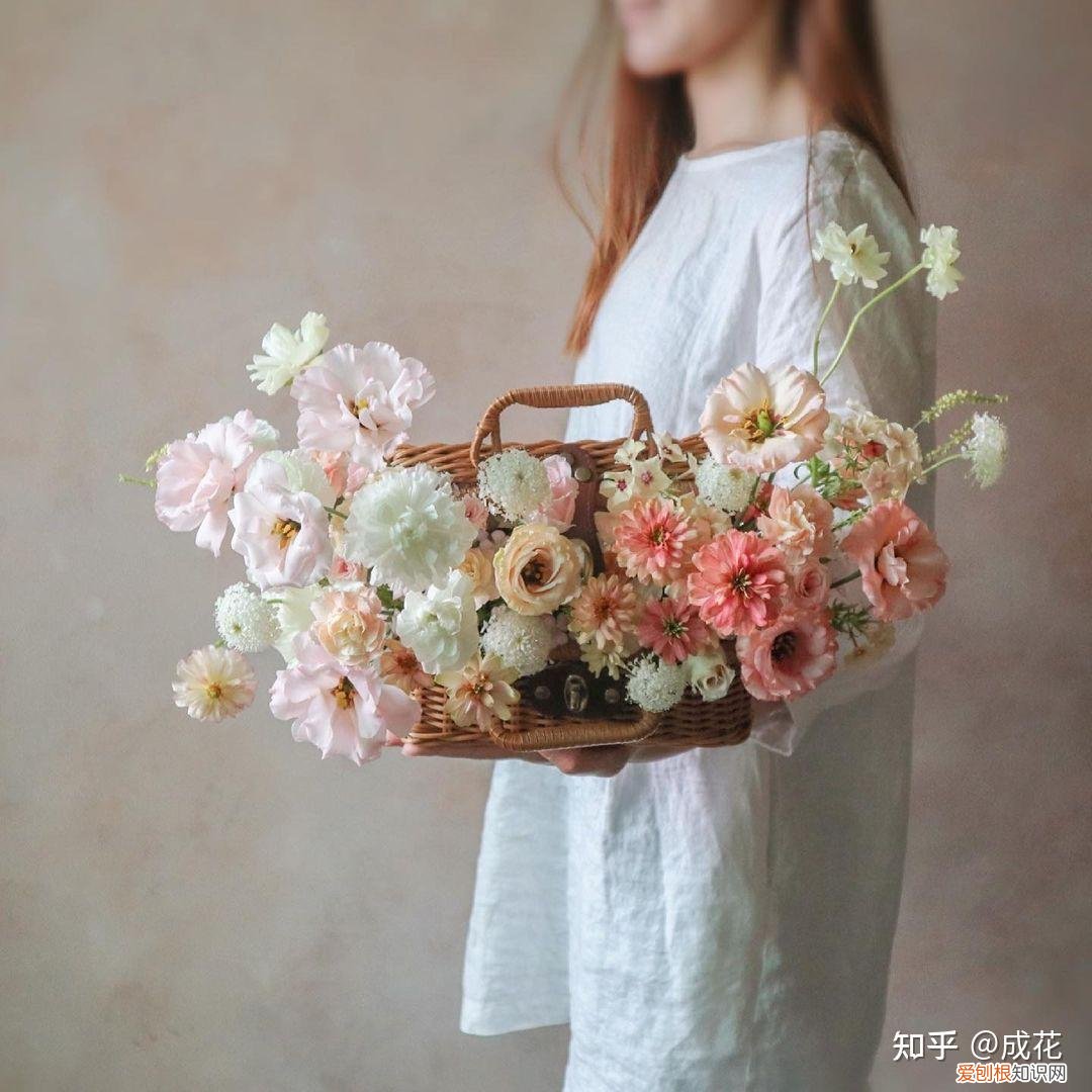 花卉养护管理方法有哪些，花艺师必学的花材养护篇！