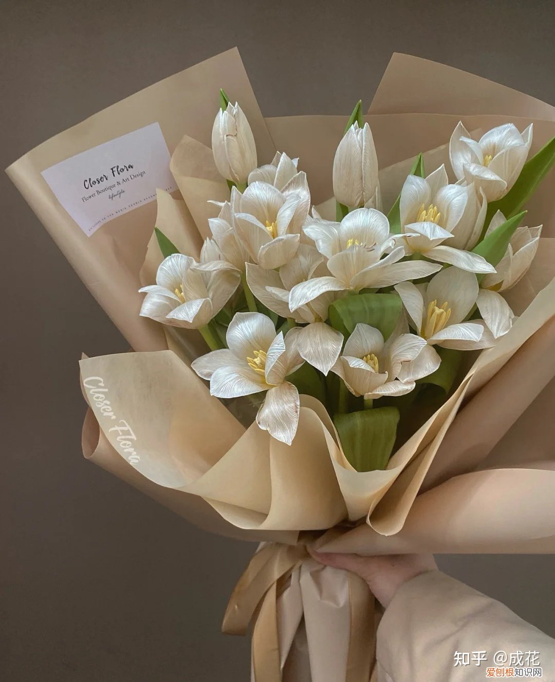 花卉养护管理方法有哪些，花艺师必学的花材养护篇！