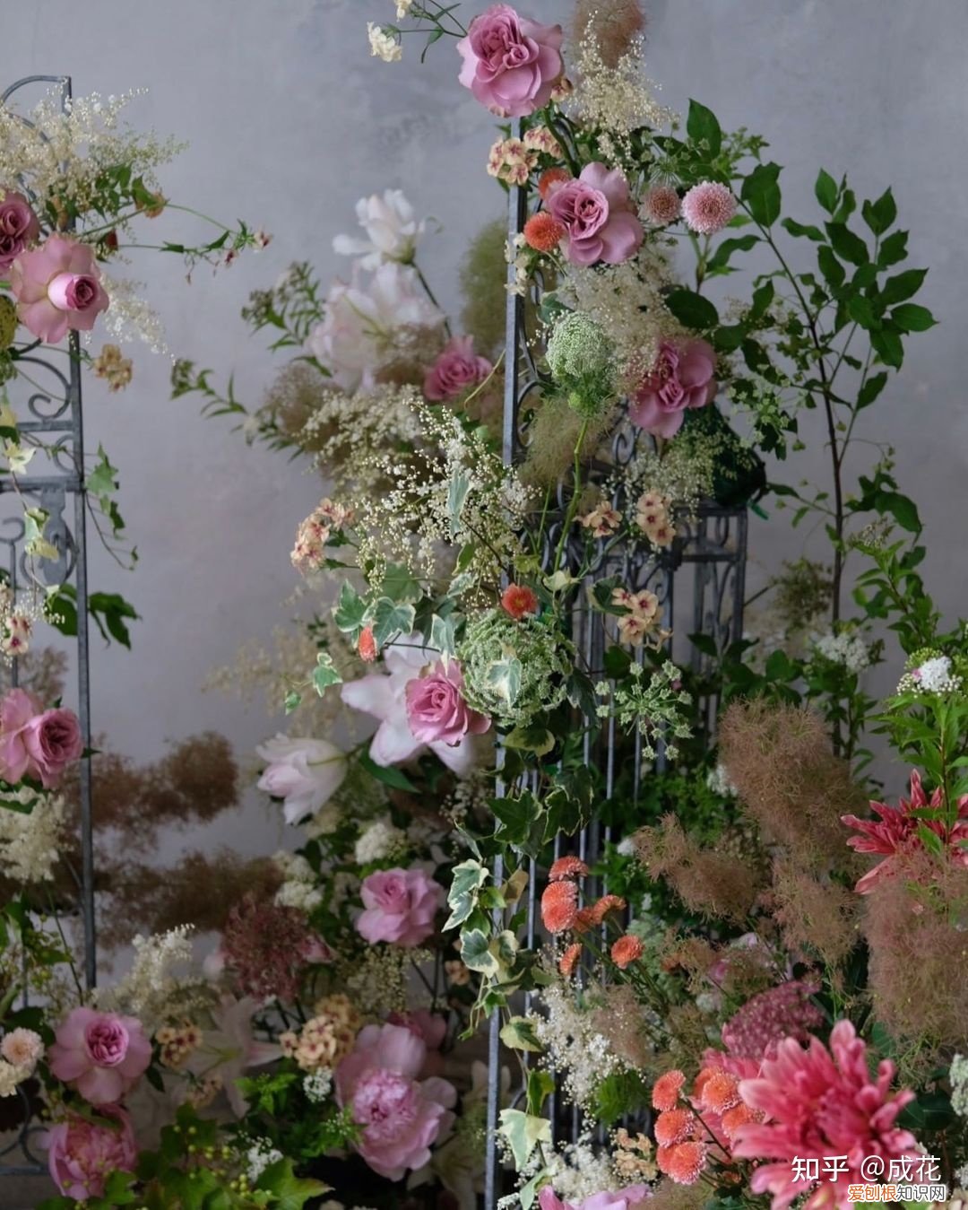 花卉养护管理方法有哪些，花艺师必学的花材养护篇！