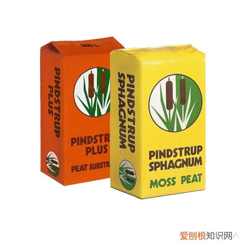 有什么简单的种花技巧吗图片，有什么简单的种花技巧吗？