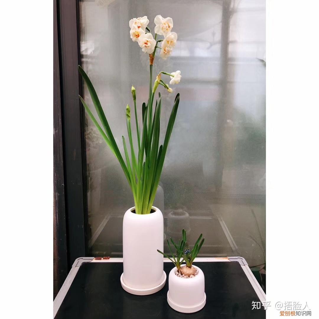 有什么简单的种花技巧吗图片，有什么简单的种花技巧吗？