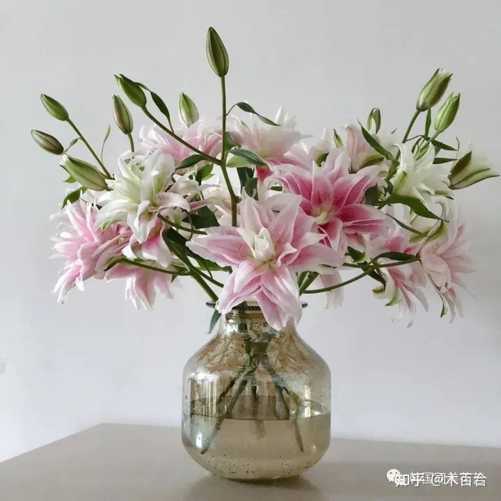 花材的养护，常用花材养护攻略，花艺师必看！